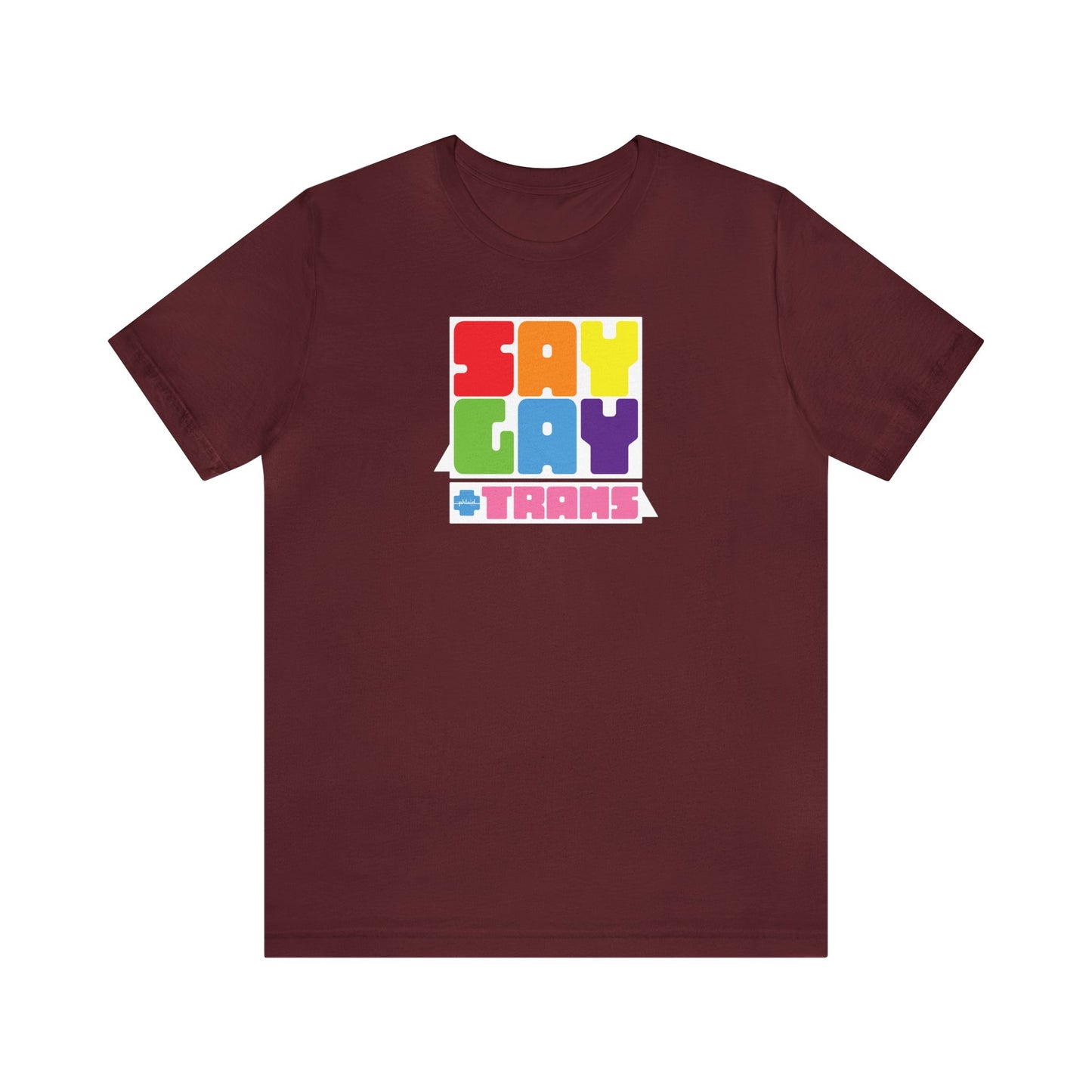 Say Gay Tee