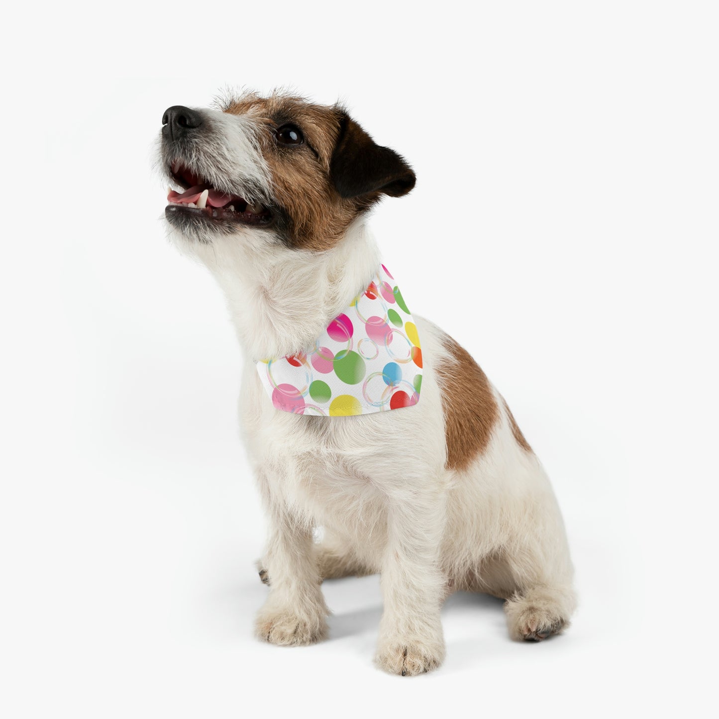 Pride Bubbles Bandana Collar