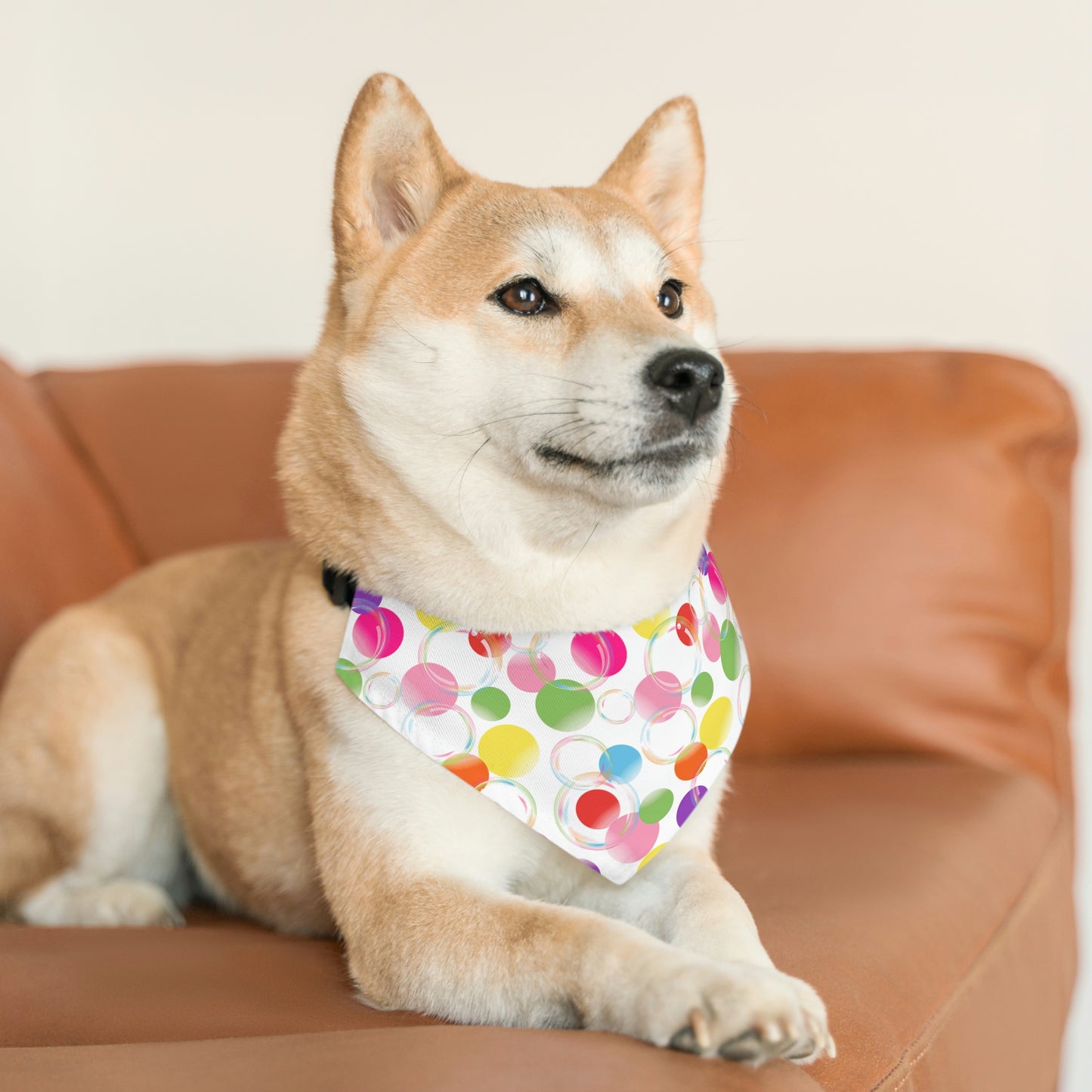 Pride Bubbles Bandana Collar