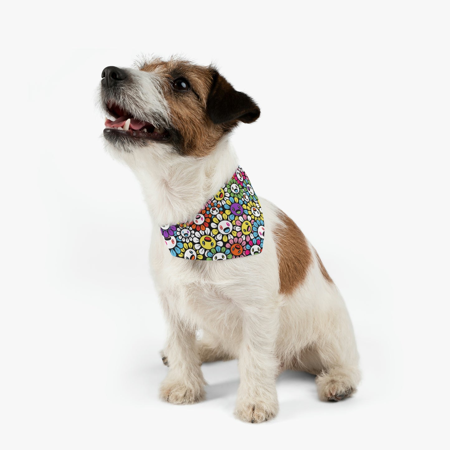 Let's Dance Pet Bandana Collar