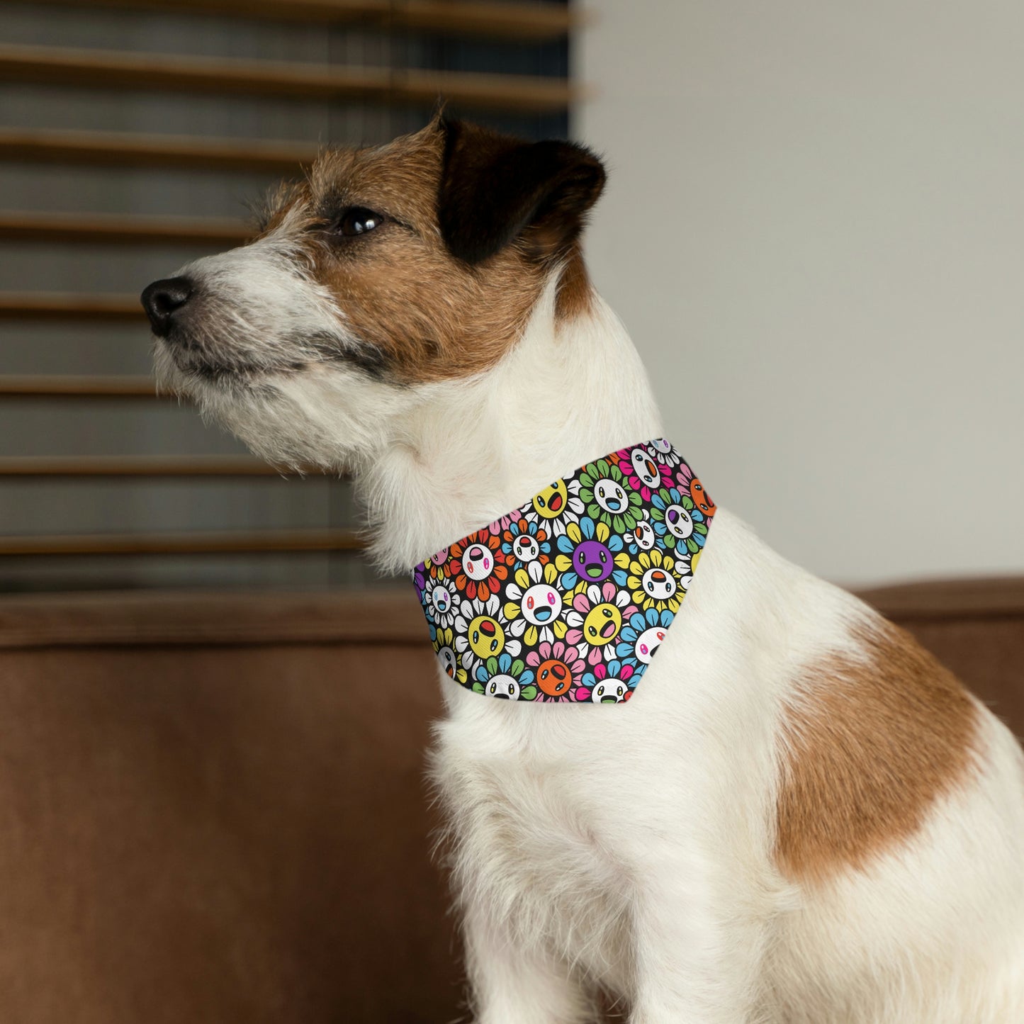 Let's Dance Pet Bandana Collar