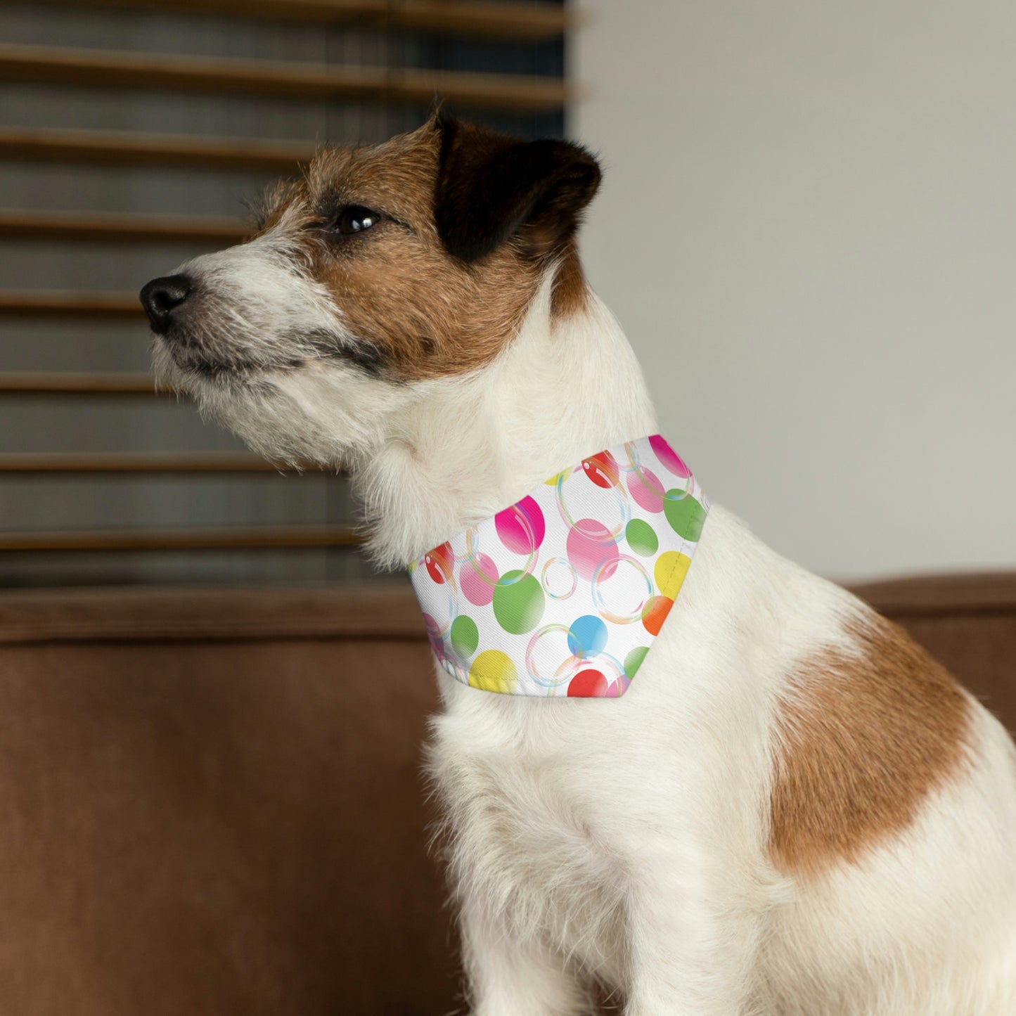 Pride Bubbles Bandana Collar